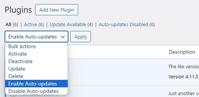 como activar las actualizaciones automaticas de plugins