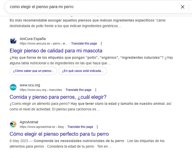 Cómo crear contenido que posicione en ChatGPT